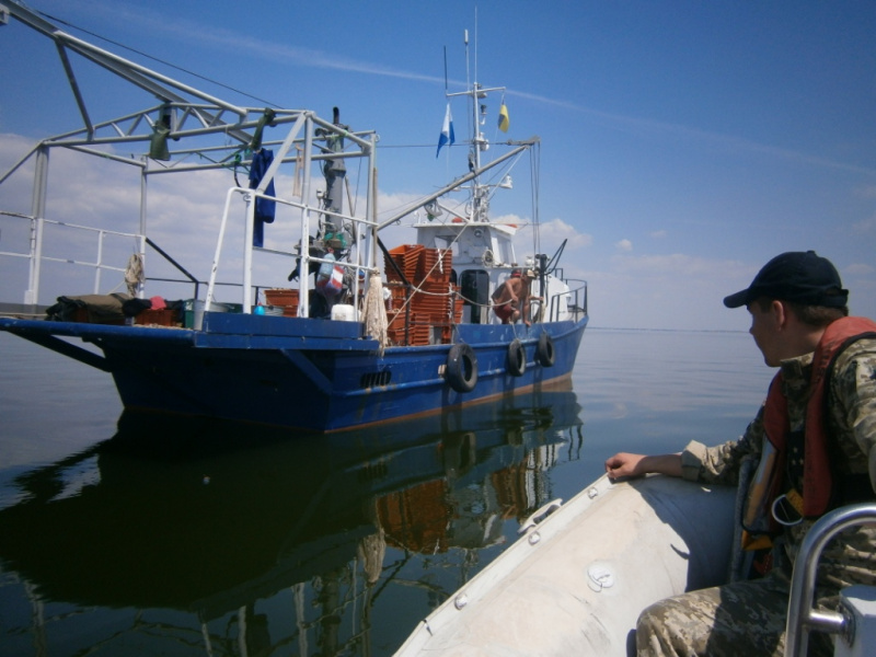 Біля морського кордону України за тиждень зафіксували 43 іноземні судна