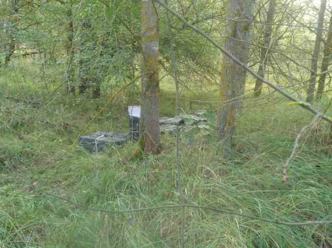 Пограничники задержали украинцев, которые несли 5 тыс. пачек сигарет из Беларуси