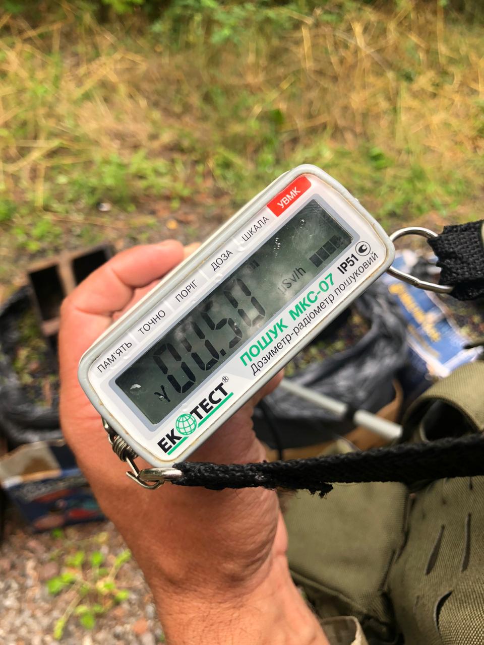 Деньги не фонят: в Чернобыльской зоне собирали радиоактивные ягоды на продажу