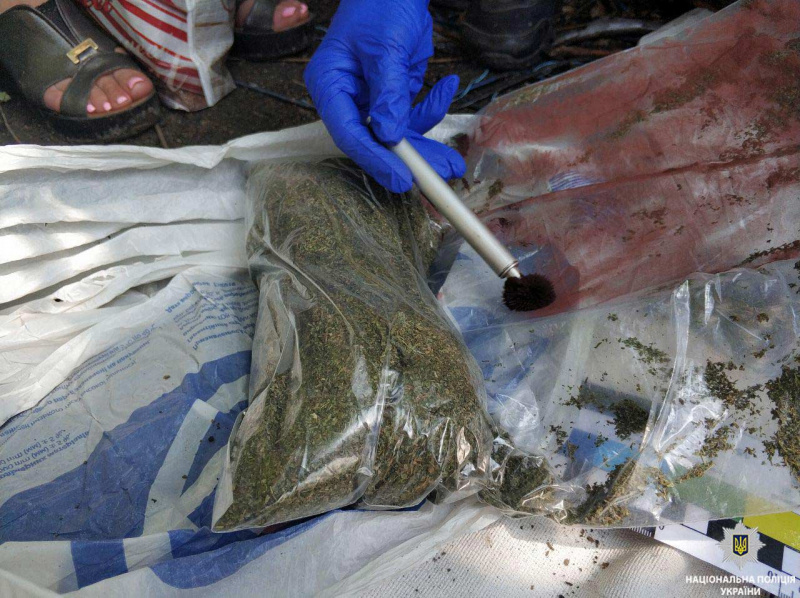 У Кривому Розі в гаражі місцевого мешканця виявили зброю та наркотики