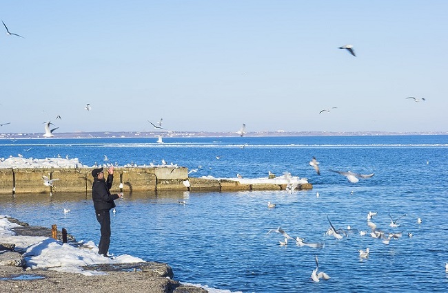 Одеса на Новий рік