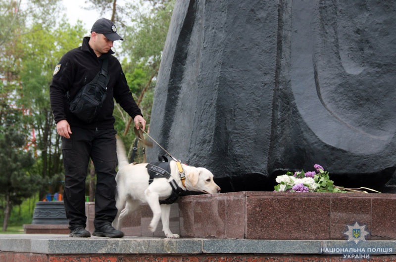 У Донецькій області оштрафували мітингувальників за георгіївські стрічки на 9 травня