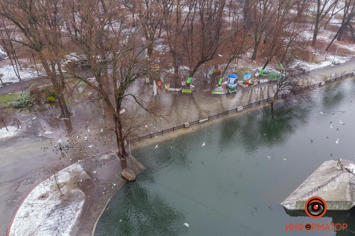 У затопленому парку в Дніпрі пішохідними доріжками плавають качки (фото, відео)