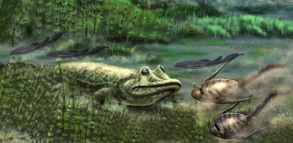 Вчені знайшли найдавнішого предка людини: відкриття пояснює багато чого