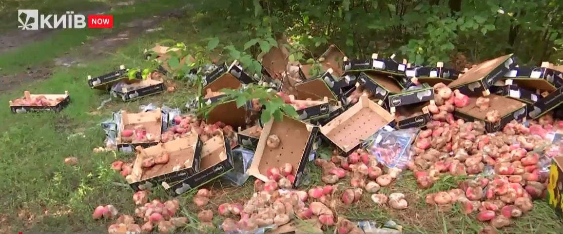 В киевском парке выбросили ящики с фруктами: жуткая вонь и полно насекомых