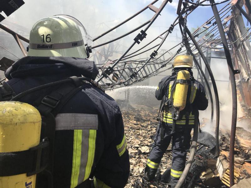 Пожежа в Гідропарку: у ДСНС повідомили подробиці