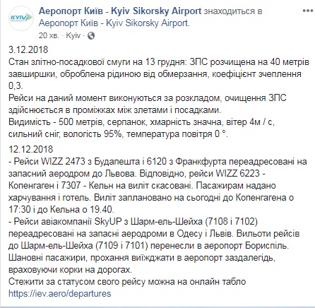 В аеропорту &quot;Київ&quot; розповіли про ситуацію з рейсами в умовах снігопаду