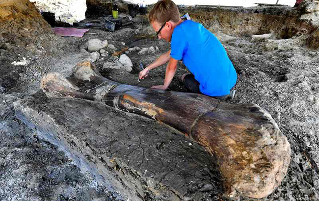 Найбільший звір в історії: вчені шоковані несподіваною знахідкою (фото)