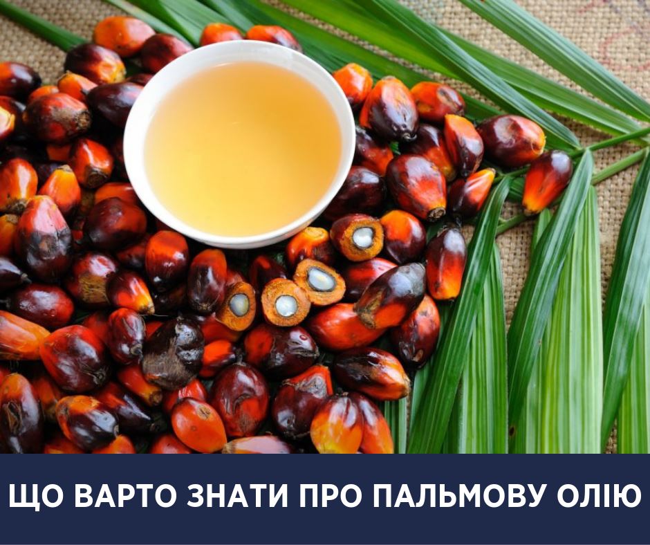 Лечит от рака или усугубляет болезнь? Супрун развенчала мифы о пальмовом масле