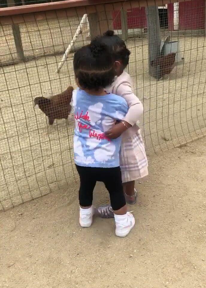 В объемном пиджаке и кружевном белье: Кайли Дженнер поделилась пикантными снимками