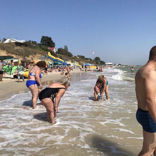 Бархатный сезон в Кирилловке: в сеть попали свежие фото