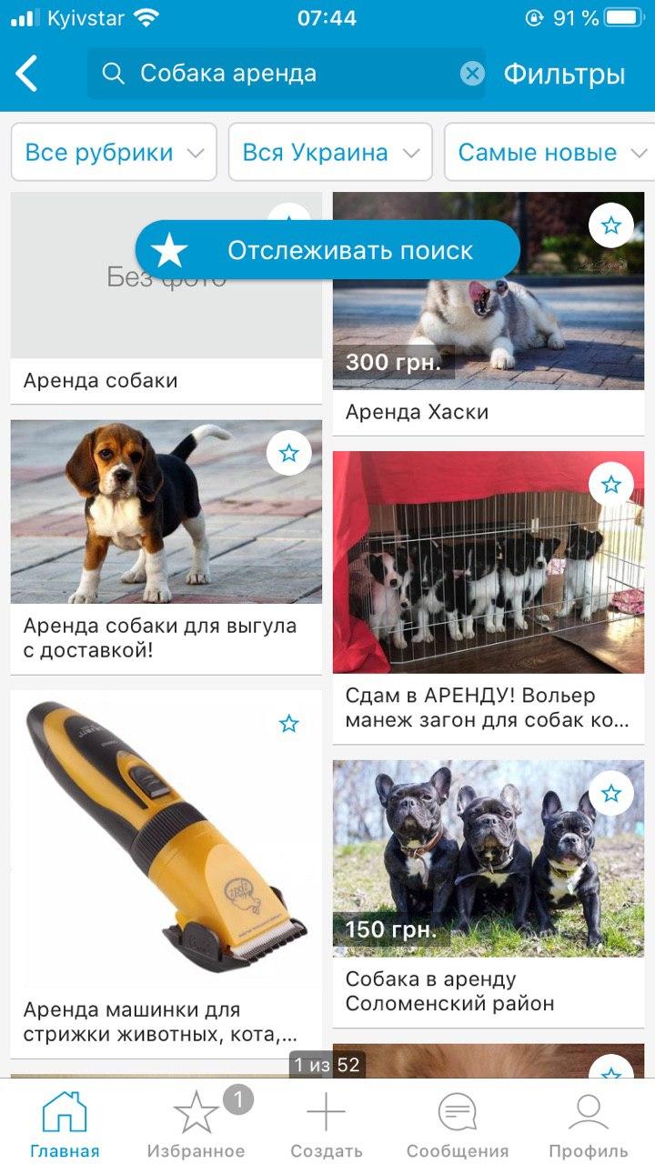  в Киеве начали сдавать в аренду собак