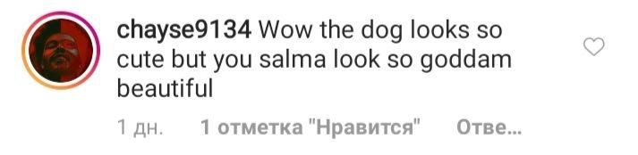 До біса гарна: 53-річна Сальма Хайєк підкорила мережу розкішним зовнішнім виглядом
