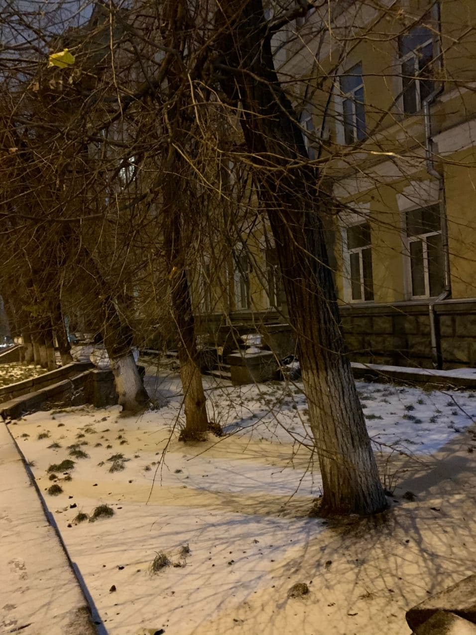 В Киеве выпал первый снег: фото и видео запорошенной столицы