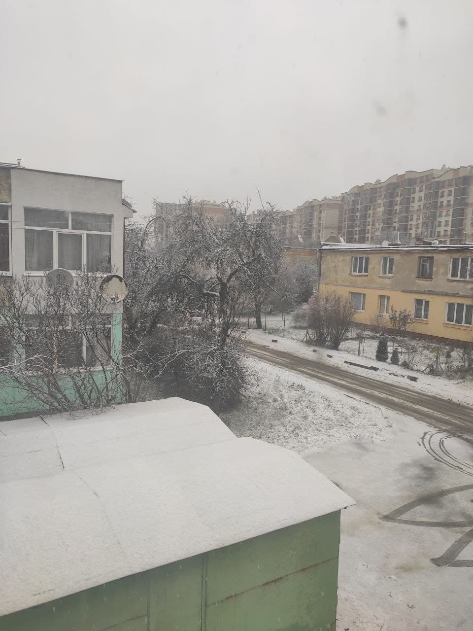 Захід України на Різдво засипало снігом: казкові фото і відео