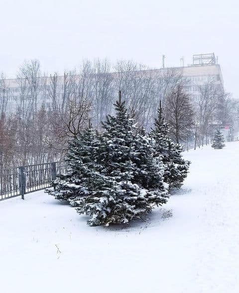 В Харьков пришла настоящая зима: город засыпало снегом (фото)