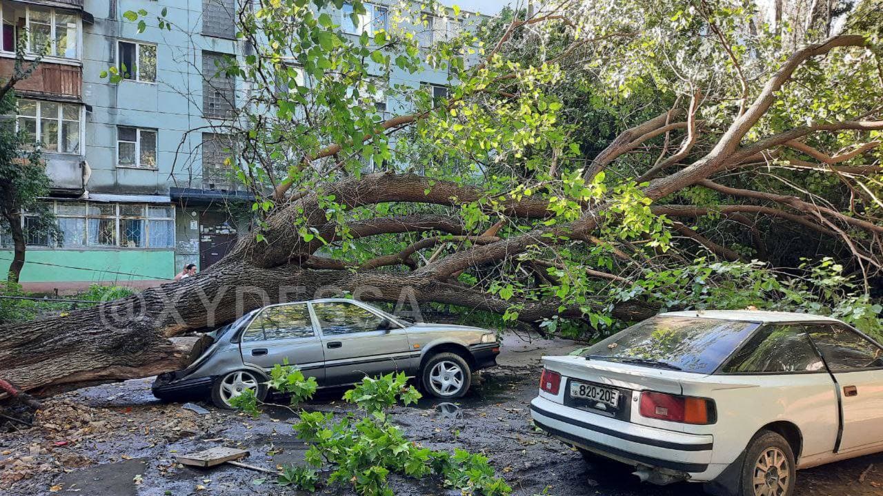 Сильний вітер в Одесі накоїв лиха: дерево розчавило три легковики (фото)