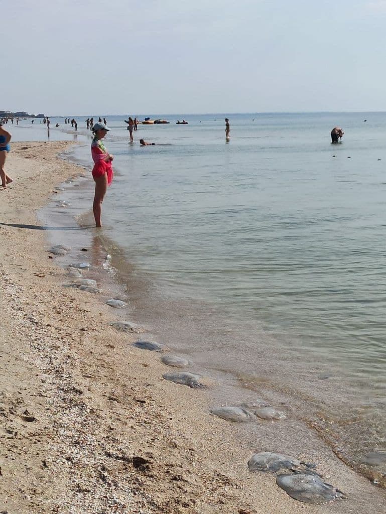 Кирилівку знову атакують медузи: свіжі фото з курорту