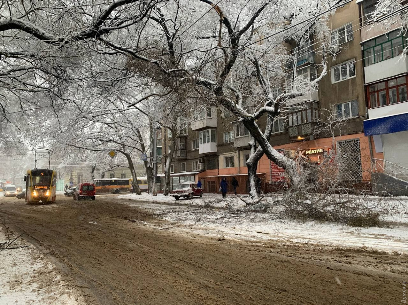 Одесу знову засипало снігом: місто паралізоване