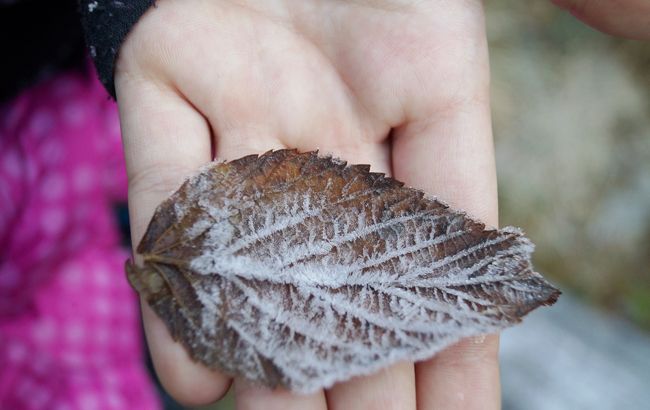 Мороз будет грызть щеки: украинцев предупредили о холоде и штормовом ветре