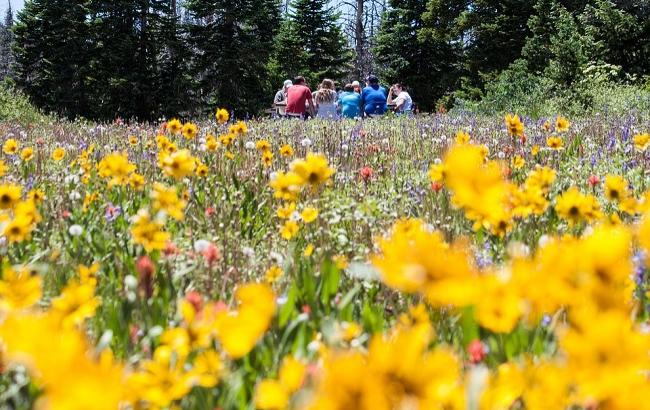 Вихідні дні в травні: скільки будуть відпочивати українці