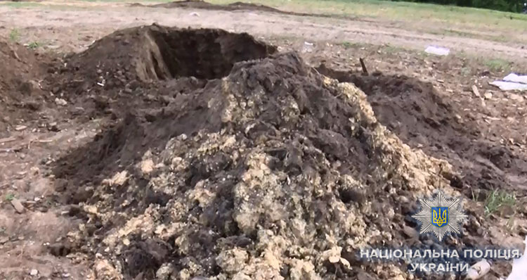 Під Києвом за організацію пташиного могильника затримали власників агрохолдингу