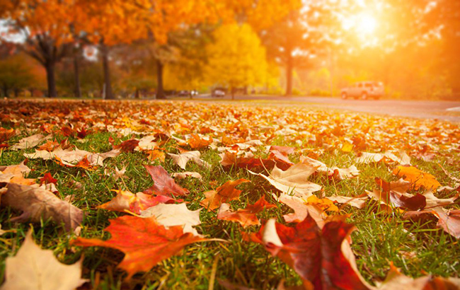 Як отримати успіх і багатство під час осіннього рівнодення: українцям дали пораду