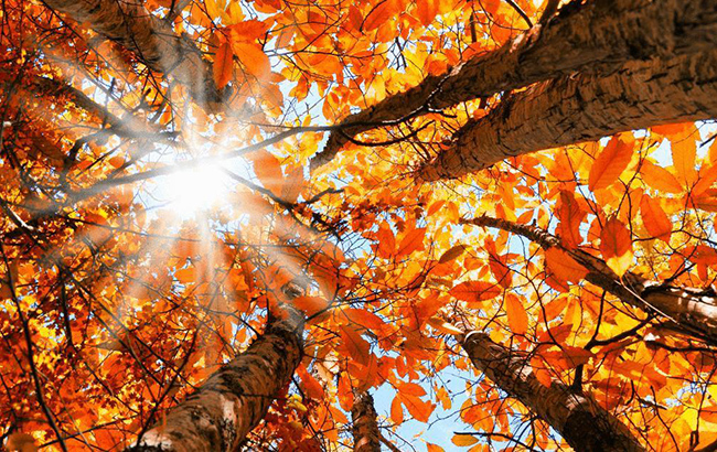 Як отримати успіх і багатство під час осіннього рівнодення: українцям дали пораду