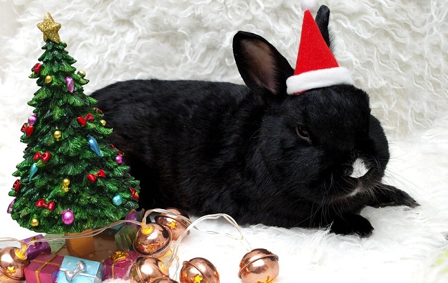 Иллюстративное фото