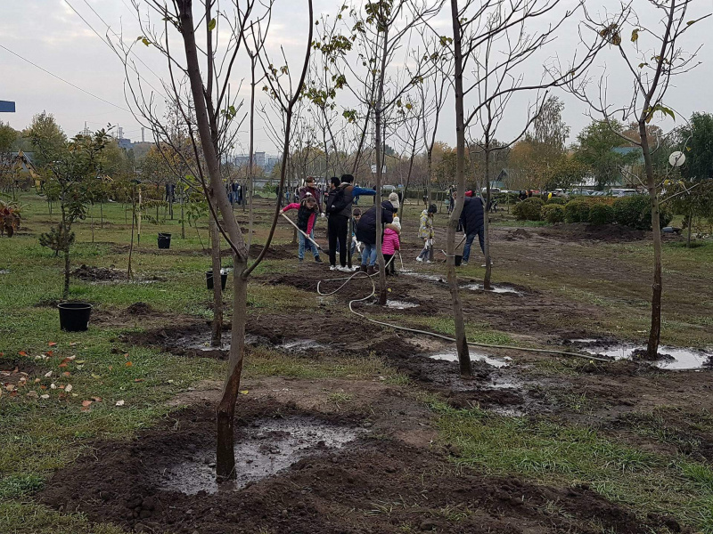 Экоакция "Купил машину? Посади дерево!"