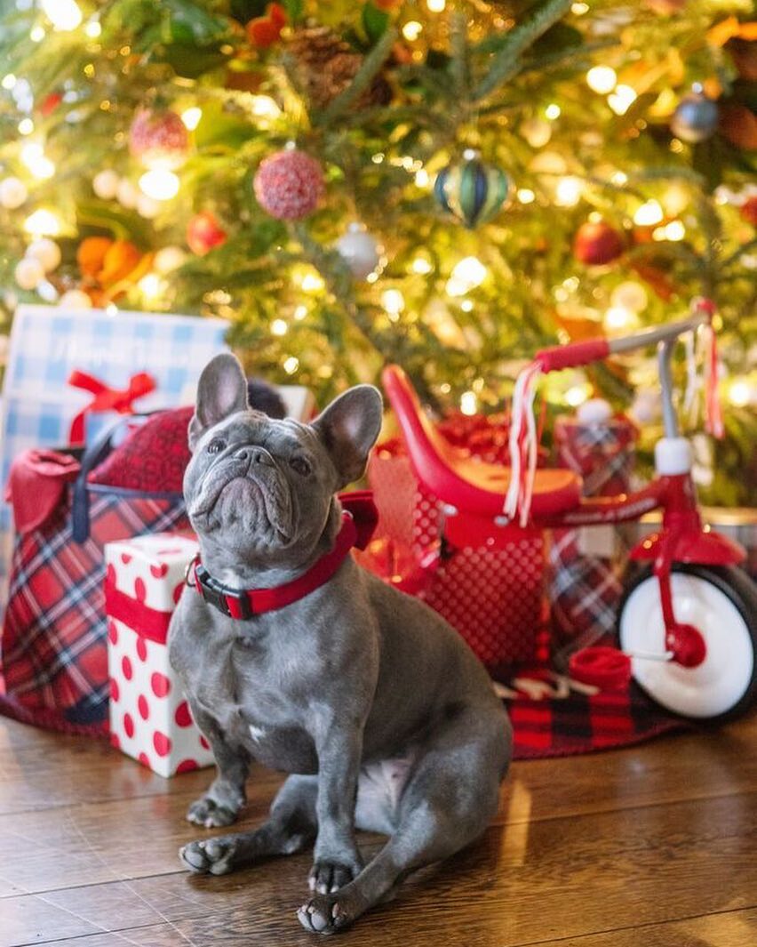 Как звезды готовятся к Рождеству: праздничная фотоподборка