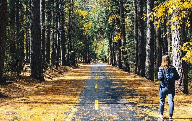 Иллюстративное фото