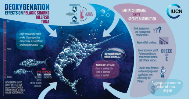 Постраждають сотні мільйонів: вчені передбачили гігантські мертві зони на Землі