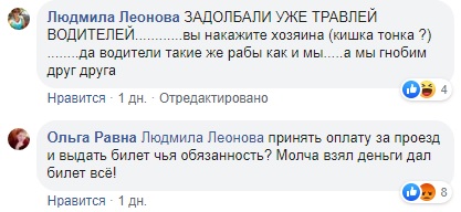 Попросила дати квиток: у Херсоні водій погрожував жінці викинути її з маршрутки