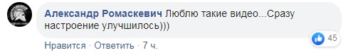 Красиво горит: ВСУ уничтожили дом одного из &quot;министров&quot; боевиков &quot;ДНР&quot; (видео)