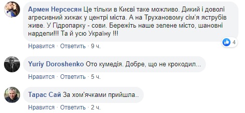 Добре, що не крокодил: у Раді завелася дика тварина (відео)