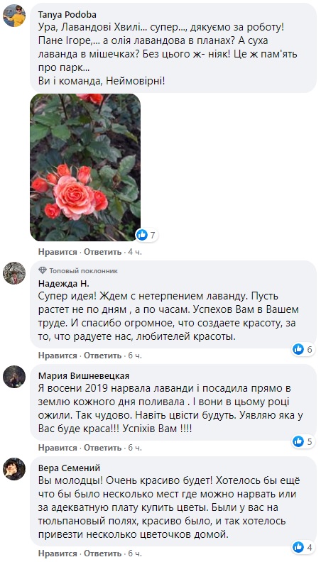 В Украине появятся лавандовые реки: все подробности