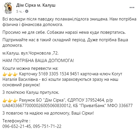 Під Івано-Франківськом затопило собачий притулок: зоозахисники просять про допомогу