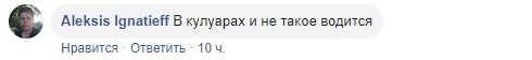 Добре, що не крокодил: у Раді завелася дика тварина (відео)