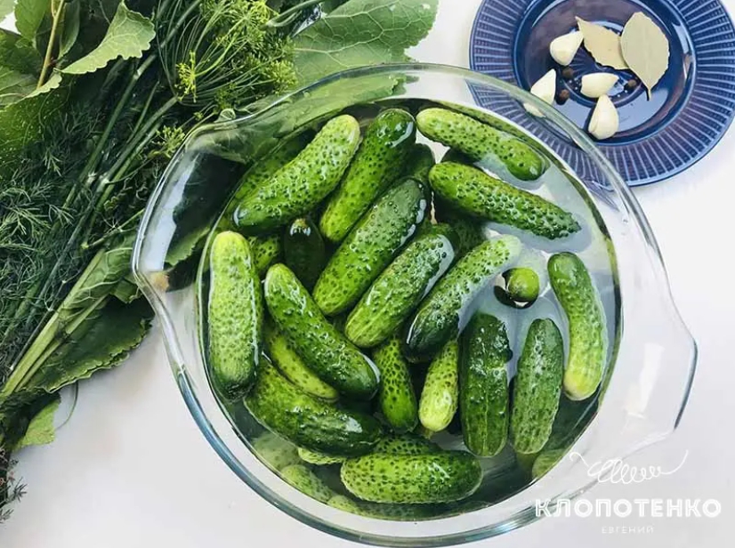 Клопотенко раскрыл секрет идеально хрустящих малосольных огурцов всего за три часа