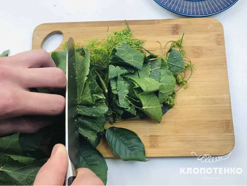 Малосольні огірки - рецепт від Клопотенка | Стайлер