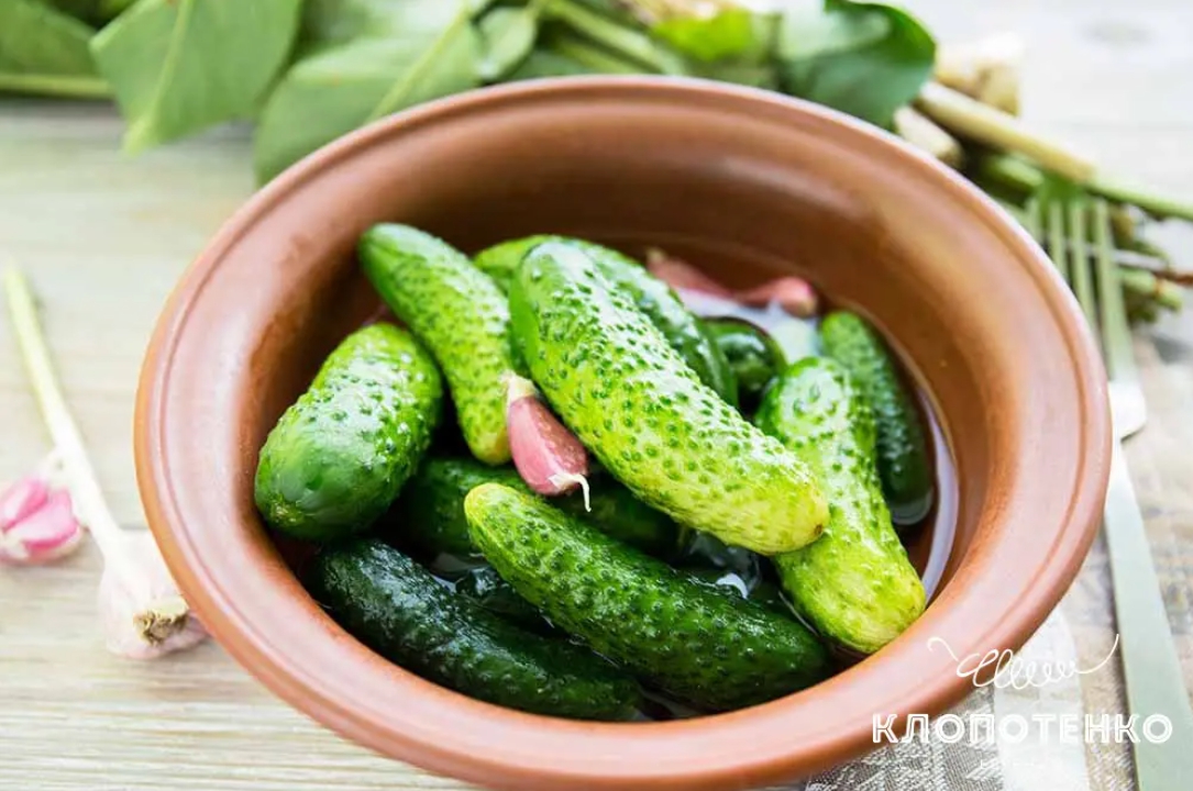 Клопотенко раскрыл секрет идеально хрустящих малосольных огурцов всего за три часа