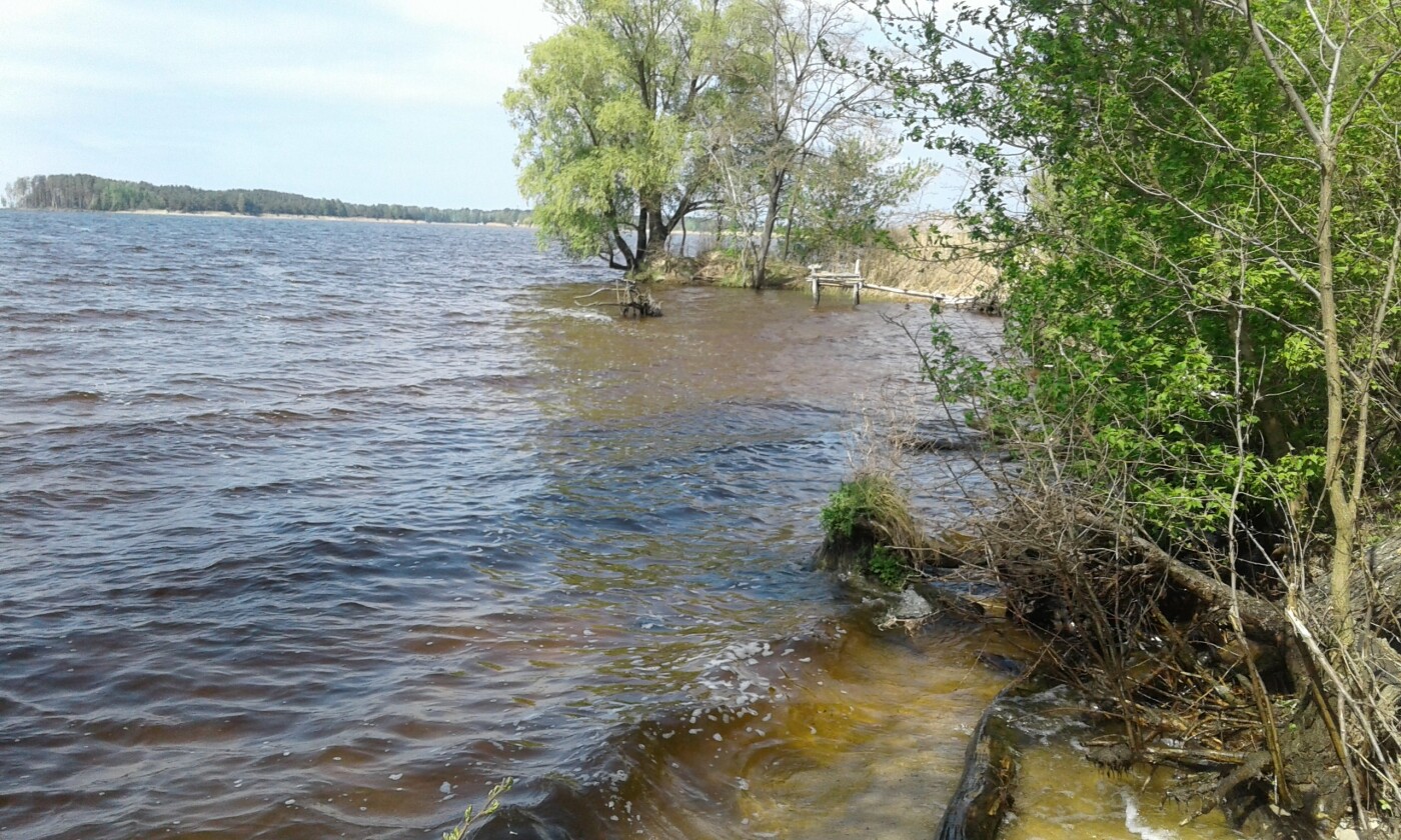 Секретне селище під Києвом: для кого воно побудоване і як виглядає (фото)
