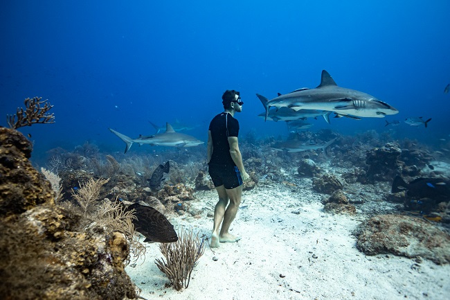 Фрідайвер з Дніпра встановив рекорд США: Нова мета — &quot;побити&quot; росіянина