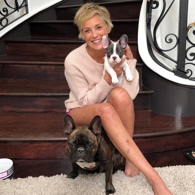 Секс-символ навсегда: 61-летняя Шэрон Стоун показала подтянутое тело в откровенном купальнике