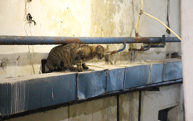 Страх і ненависть в Лук'янівці: як живе найвідоміша в'язниця України