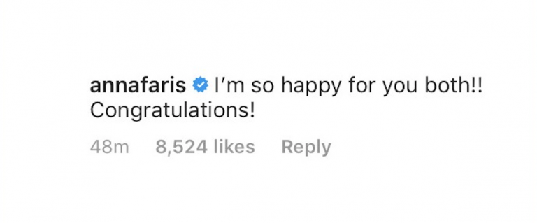 Екс-дружина висловилася з приводу заручин Кріса Пратта з донькою Шварценеггера