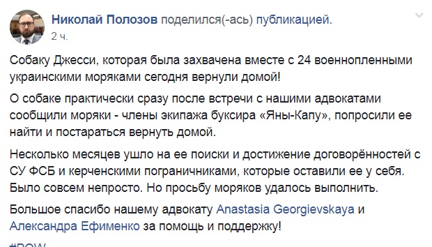 &quot;Пушистого&quot; друга украинских моряков вырвали из российского плена (фото)