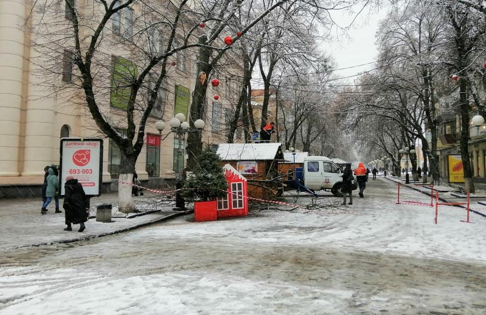 Деревья падают на авто: Полтава страдает от мощного снегопада