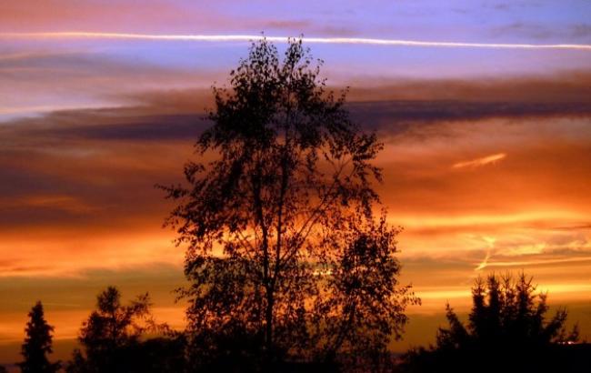 Итоги дня: 19 октября